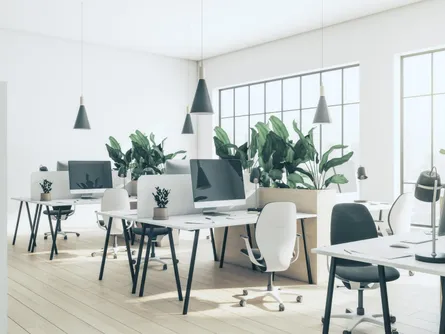 Robust Identity Verification with Intellicheck and Zuplo